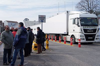 2016 03 17 FolgaServicarneFrigolouro10.JPG